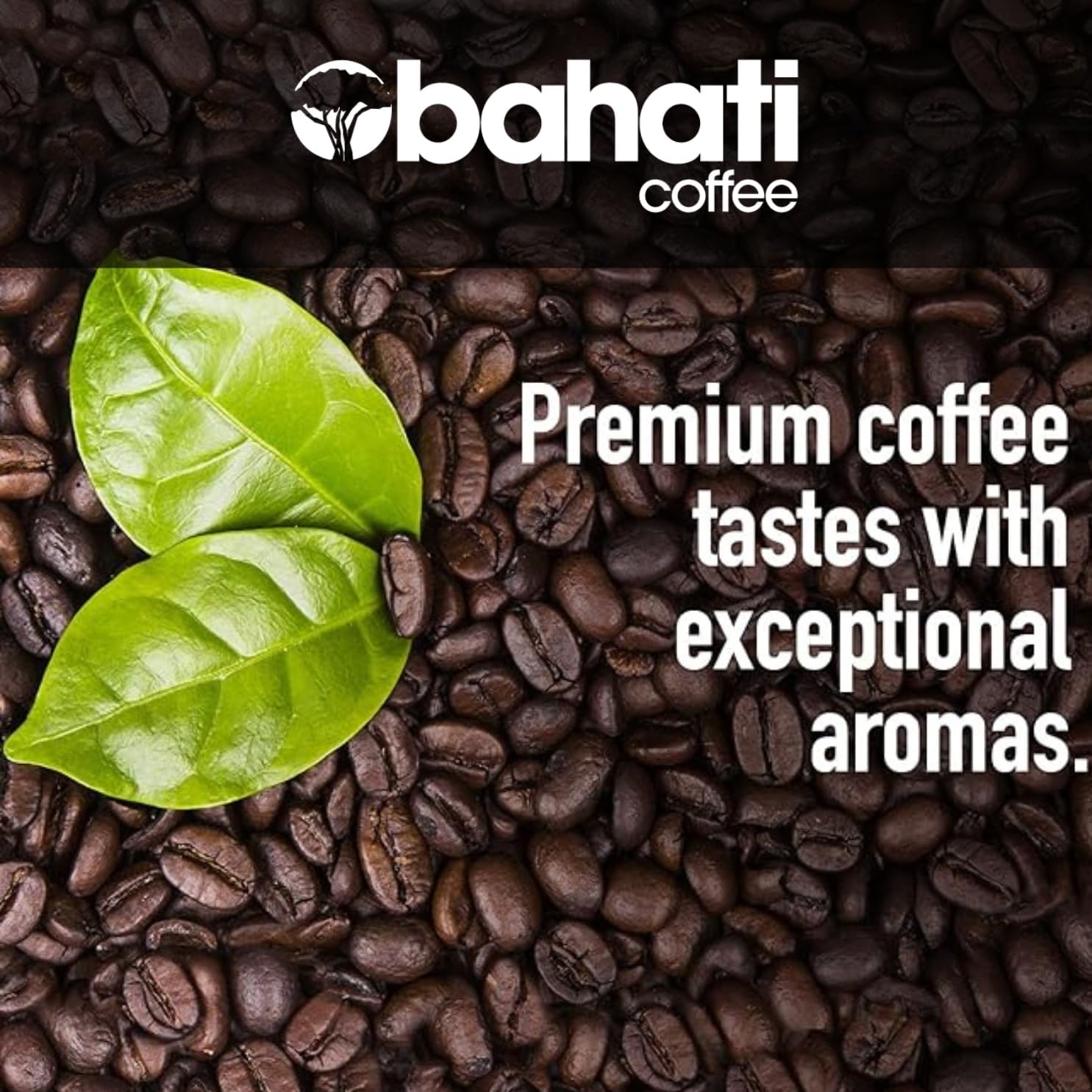 Kenya AA Grade Roasted Arabica Coffee Beans from Kenyan Highlands - 100% Pure Arabica Coffee Roasted Beans (Dark Roast Ground Coffee, 2 LB)