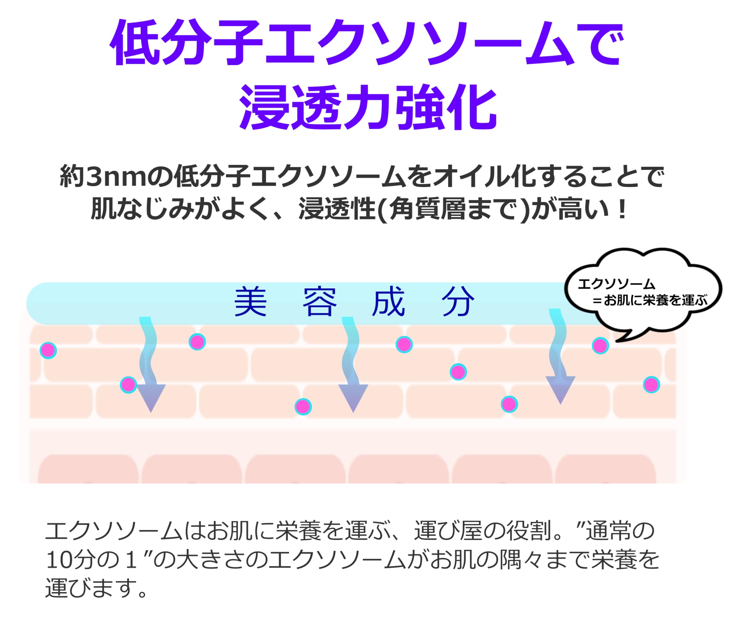 Amazon | 【高濃度 エクソソーム】医学博士が自ら手掛けた アンリ 