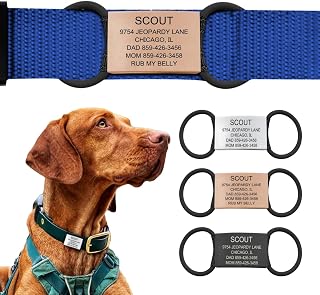 Personalized Dog Tags by ROAD iD | Silent & Durable | Jingle-Free Slide-On Design | Stainless Steel Name Tag Fits Any Collar | Multiple Colors & Sizes for Your Pet's Unique Style
