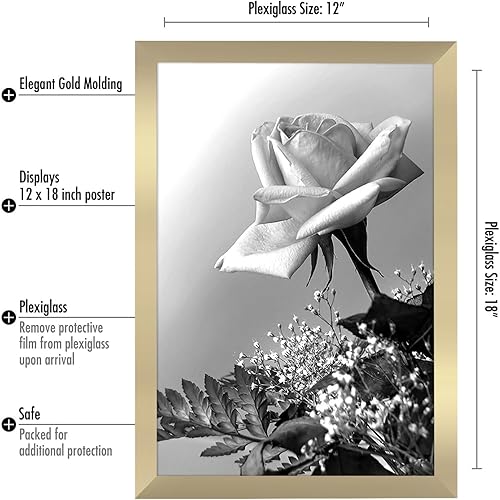 Vista 889 de Americanflat - Marco para póster de 71 x 74 cm con plexiglás pulido, portarretratos negro de madera industrializada, Epic Collection, marco ancho