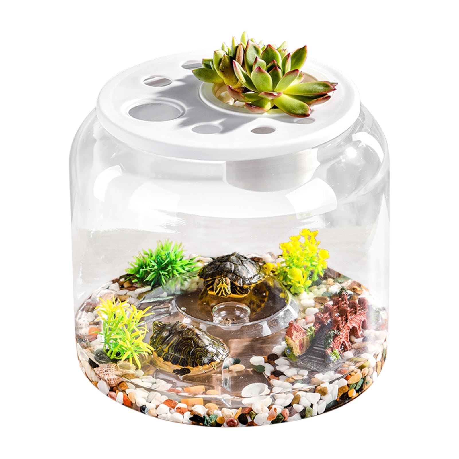 Kit de démarrage pour aquarium pour tortues avec table d'alimentation et couvercle