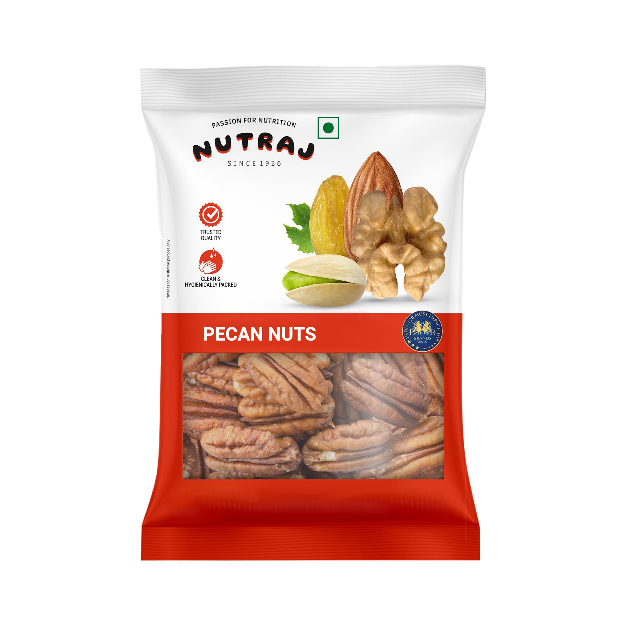Nutraj Pecan Nuts 100gm Pouch | Dry Fruits | Ideal for Snacking and Baking | Grocery Items.