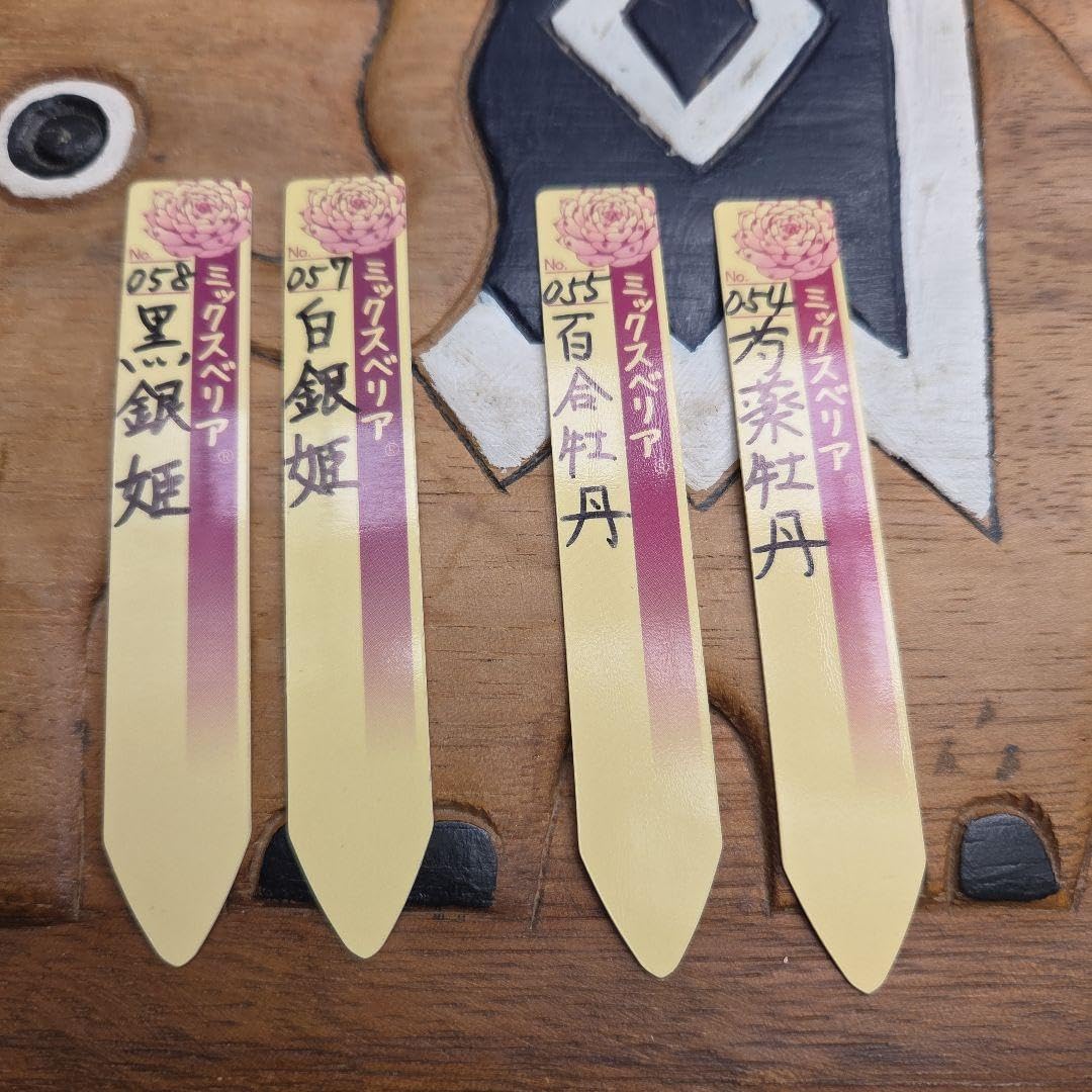 ミックスベリア 054.055.057.058 札のみ ミックスベリア 054.055.057.058 札のみ ミックスベリア ちょこん お ミックスベリア 054.055.057.058 札のみ