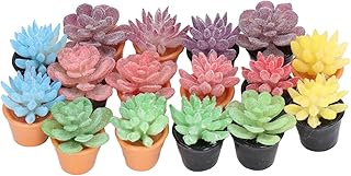 Dilwe 16Pcs Dollhouse Potted Plants, Mini Succulents Plants for Dollhouse Decoration, Resin 1:12 Scale Lifelike Appearance Vivid Rich Colors Miniature Bonsai Plant Mini Potted Plant Flower Model