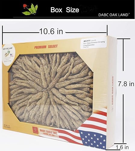 DOL 1 lb  16 oz (453 gm)caja seleccionada a mano Wisconsin granja Ginseng raíz, largo, mediano de 0.6in  3.0ft de alto, cultivado Wisconsin American