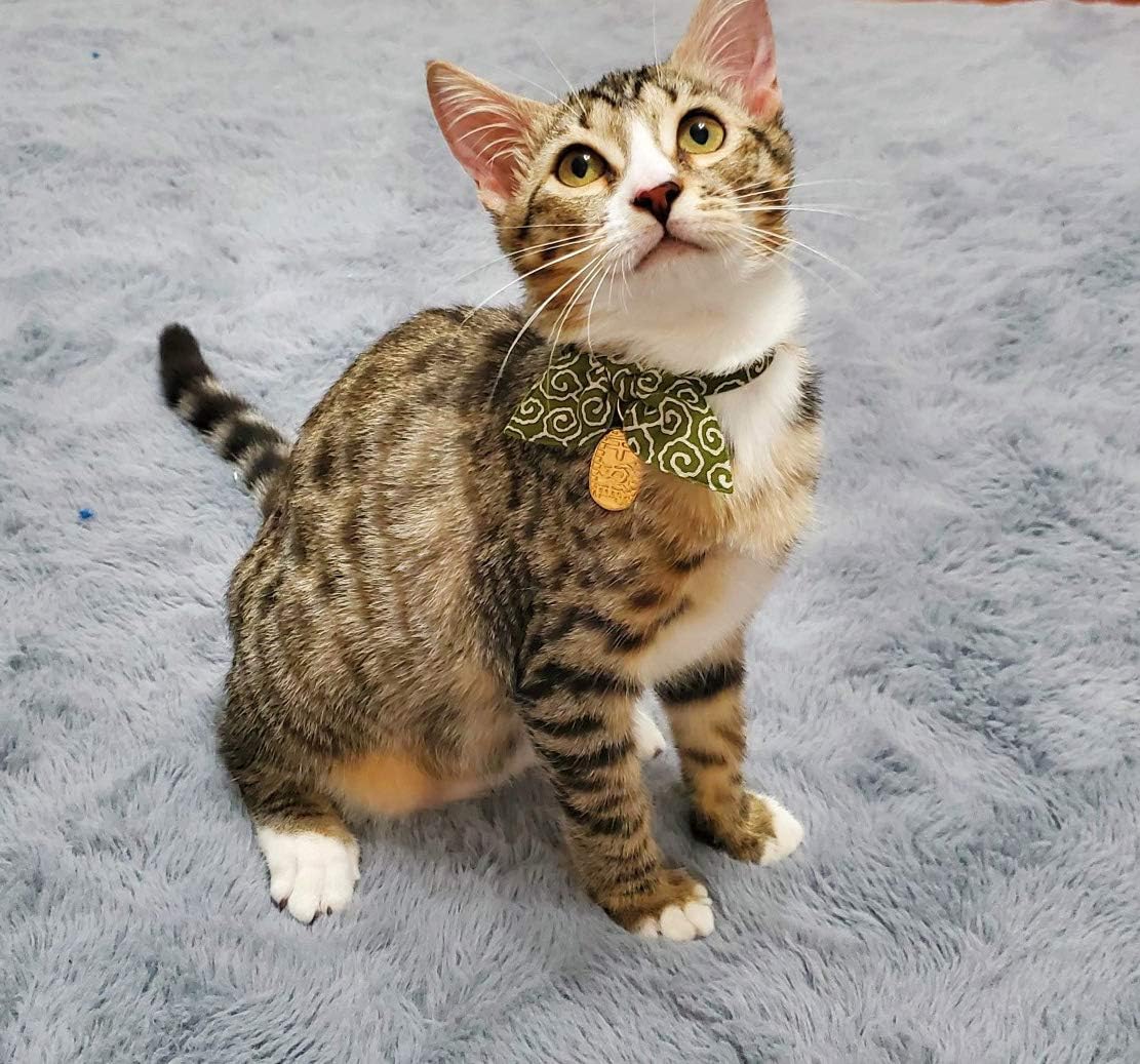 Bunny Ears Scarf Bowtie Breakaway Cat Collar.with Bell and Coin Charm.Unique Japan Style.100% Cotton. for Girl Boy Male Female Cute Cat Collar