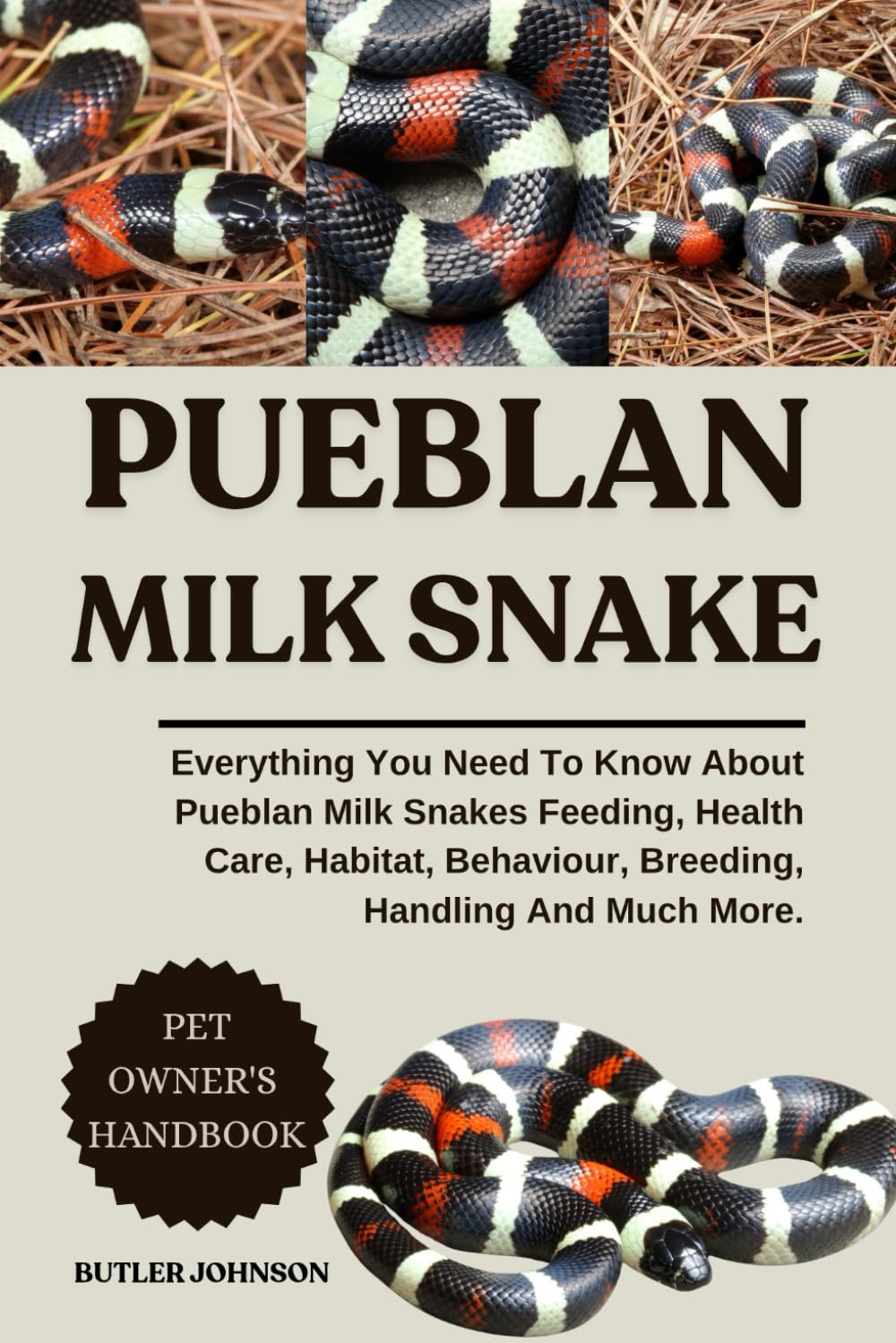 PUEBLAN MILK SNAKE: Everything You Need To Know About Pueblan Milk Snakes Feeding, Health Care, Habitat, Behaviour, Breeding, Handling And Much More.