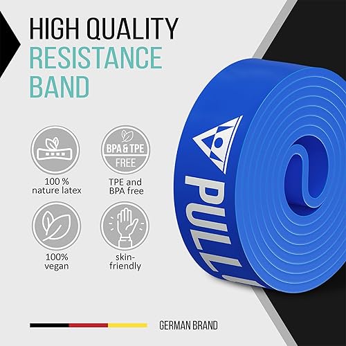 Miniatura 2 de PULLUP & DIP Bandas de fitness, bandas de resistencia con bolsa, anclaje de puerta (con juegos) y guía de ejercicios, individual y en conjunto de