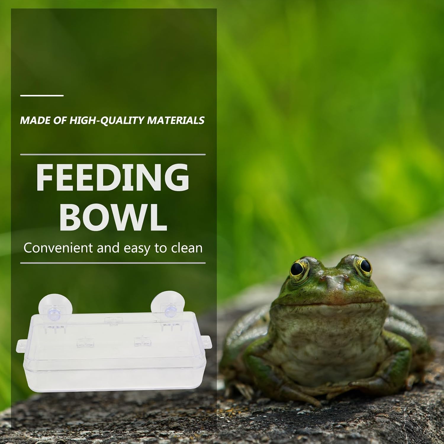 Suction Cup Reptile Feeder Lizard Food Water Basin Acrylic image 4