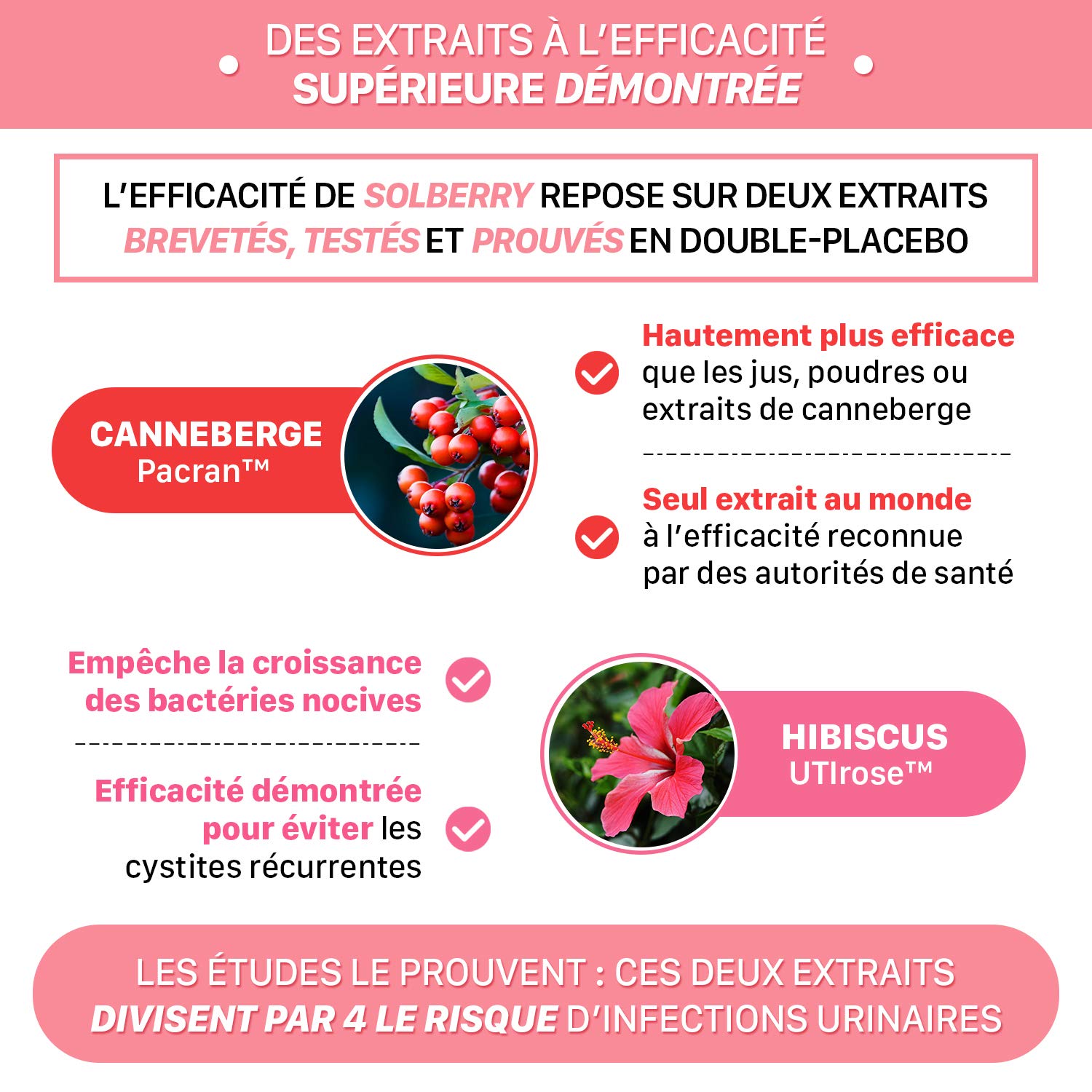 SOLBERRY - Complément alimentaire Infection Urinaire Femme - Puissants Extraits de Canneberge et Hibiscus – Protection 24h/ 24-60 gélules Végan - Laboratoire Français Solage