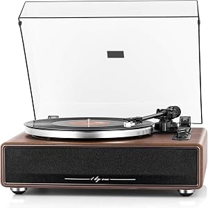 Top-Rated Vinyl Record Player — Editor's Choice