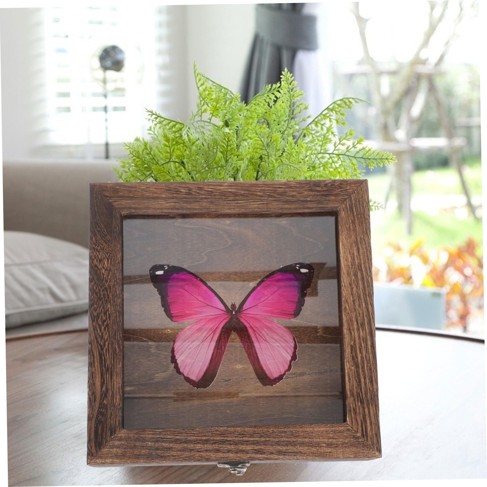 HOLIDYOYO 1Pc Multi Purpose Specimen Display Box with Transparent Window Vintage Style Storage Container for Jewelry Coins and Crafts Lightweight and Easy to Carry