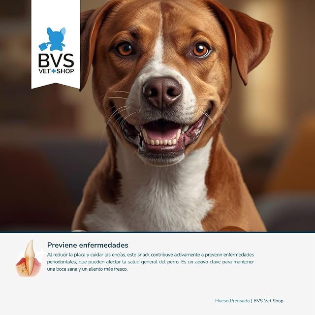 Foto 3 de 5 de BVS Vet Shop