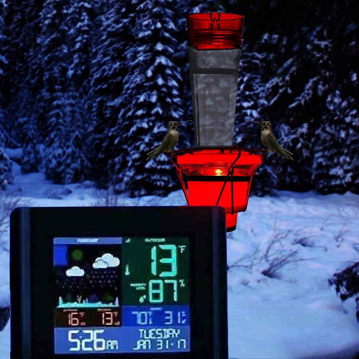 Buy Hummingbird Feeder Heater, Heated Hummingbird Feeders for Outdoors