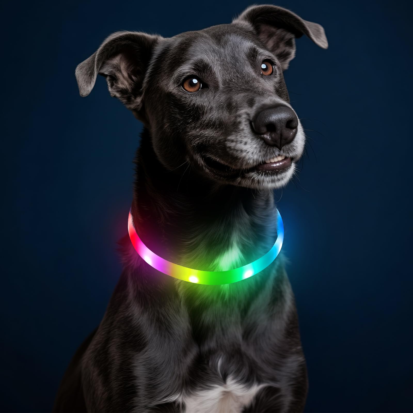 HIGO Collier lumineux LED RVB pour chien, rechargeable par USB, collier de sécurité à LED pour promener la nuit (multicolore)