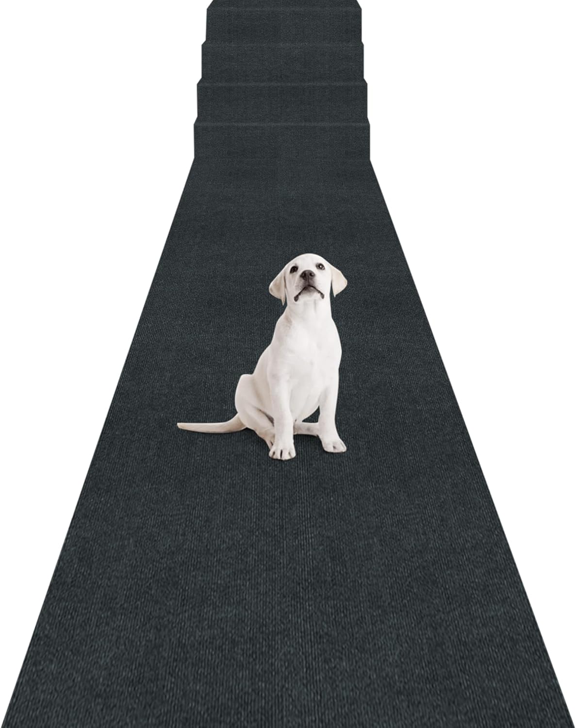 tadazhi タダシ ポエスパスベッド ラウンドベッド 犬 ベッド クッション tadazhi タダシ ポエスパスベッド ラウンドベッド 犬 ベッド