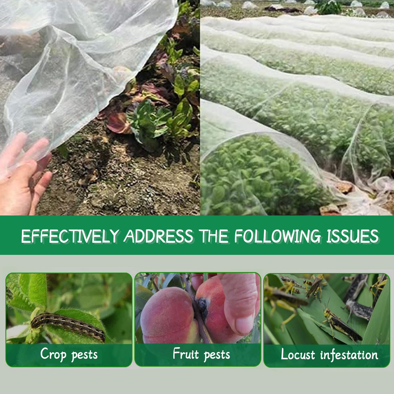 Rete Protettiva Per Giardino 2x5 M (10 M²) – Maglia 19 Mm – Protegge Piante E Frutta Da Uccelli E Animali – Adatta Alle Api - 4