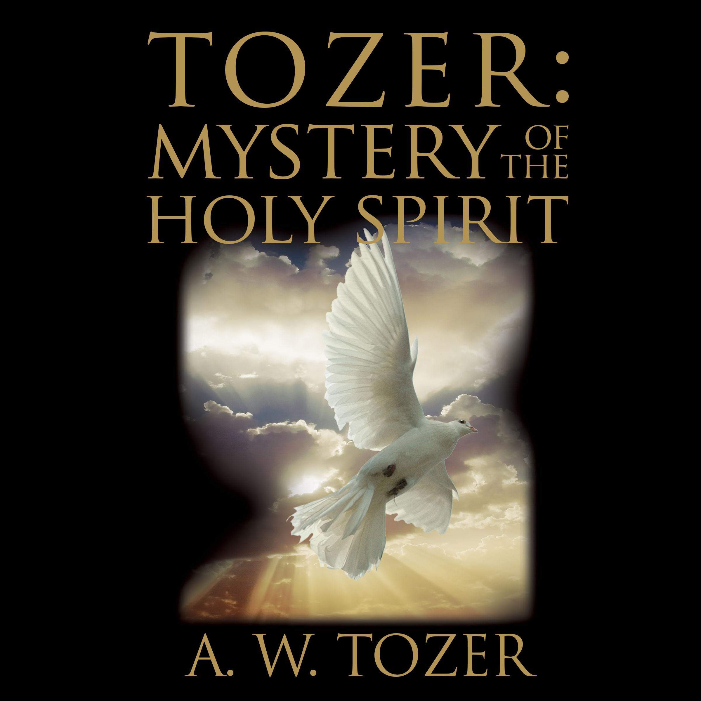 Cover art for Tozer: Mystery of the Holy Spirit