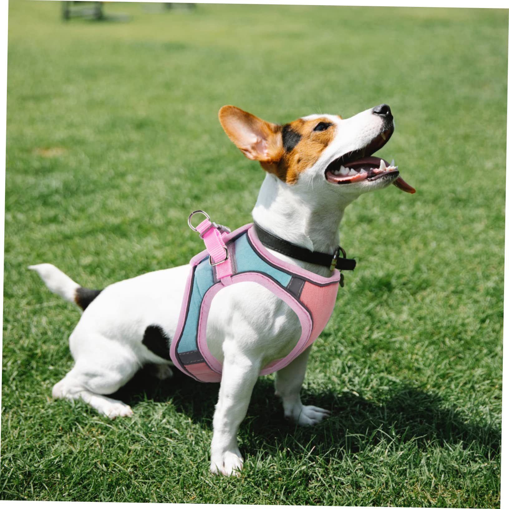Supvox 4sätze Verstellbares Reflektierendes Geschirr Mit Langem Für Katzen Und Welpen Ausbruchsicheres Design Für Outdoor-aktivitäten