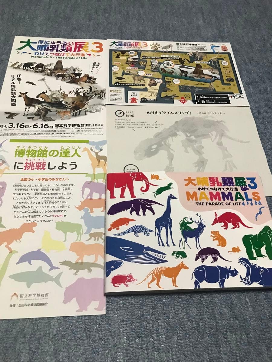 美品　大哺乳類展3 告知ポスター　カラー版 2枚セット】国立科学博物館 大哺乳類展3 ヒグチユウコさん