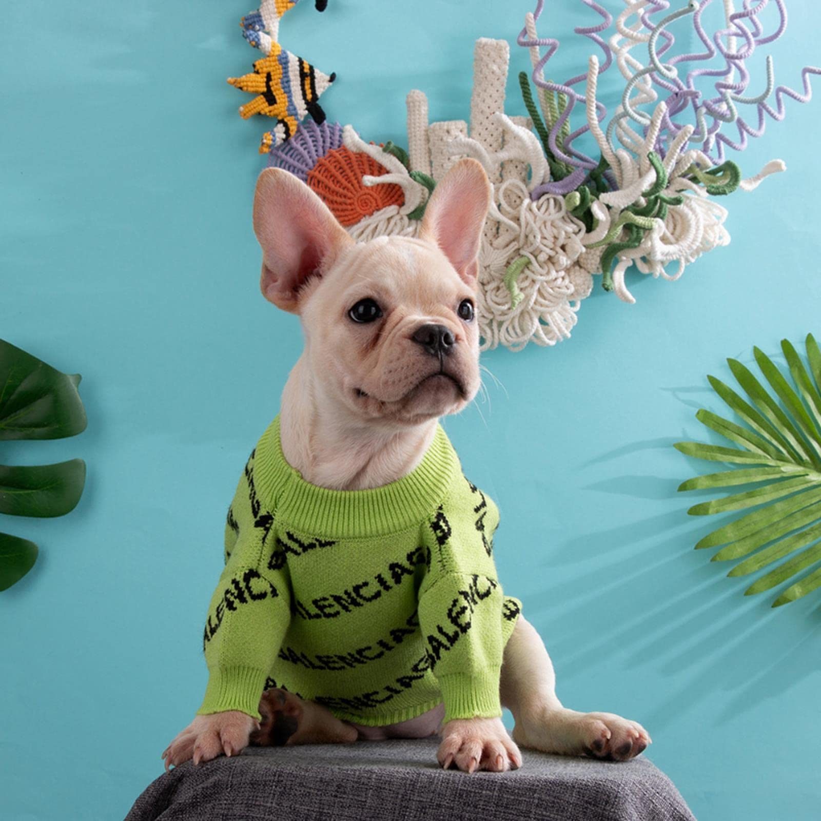 Abrigo Perro Autumn Winter Trendy Brand Puppy Sweater Ropa De Perro Cálido White White Pequeño Perros Ropa Cat Bulldog