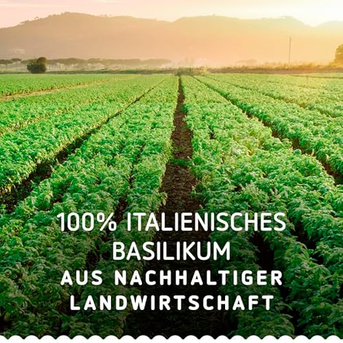 Sauce Pesto Ricotta Et Noix Barilla Le Pot De - vue 10