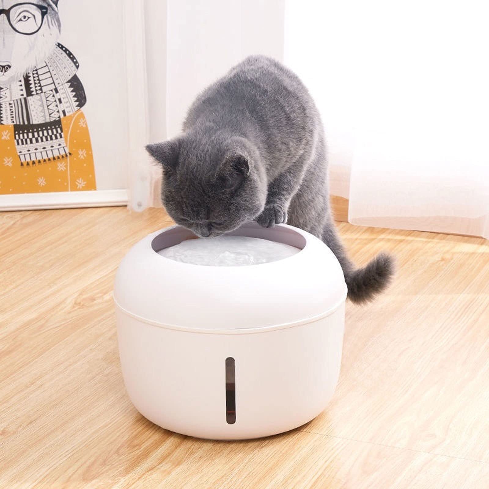 RTHGTFGW Comedero Perro PET PERRO CAT FOUNTAIN BEBIDA FUENTE 2.5L BETIDO AUTOMÁTICO AGUA DE AGUA DE AGUA PET CATS ELECTRIC USB Dispensador (Color : White)