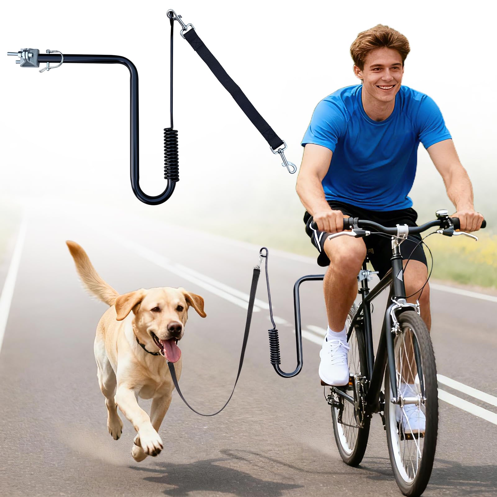 Laisse Velo Main Libre Chien, Attache Exercice pour Animaux de Compagnie pour Promener, Courir, Faire du Sport