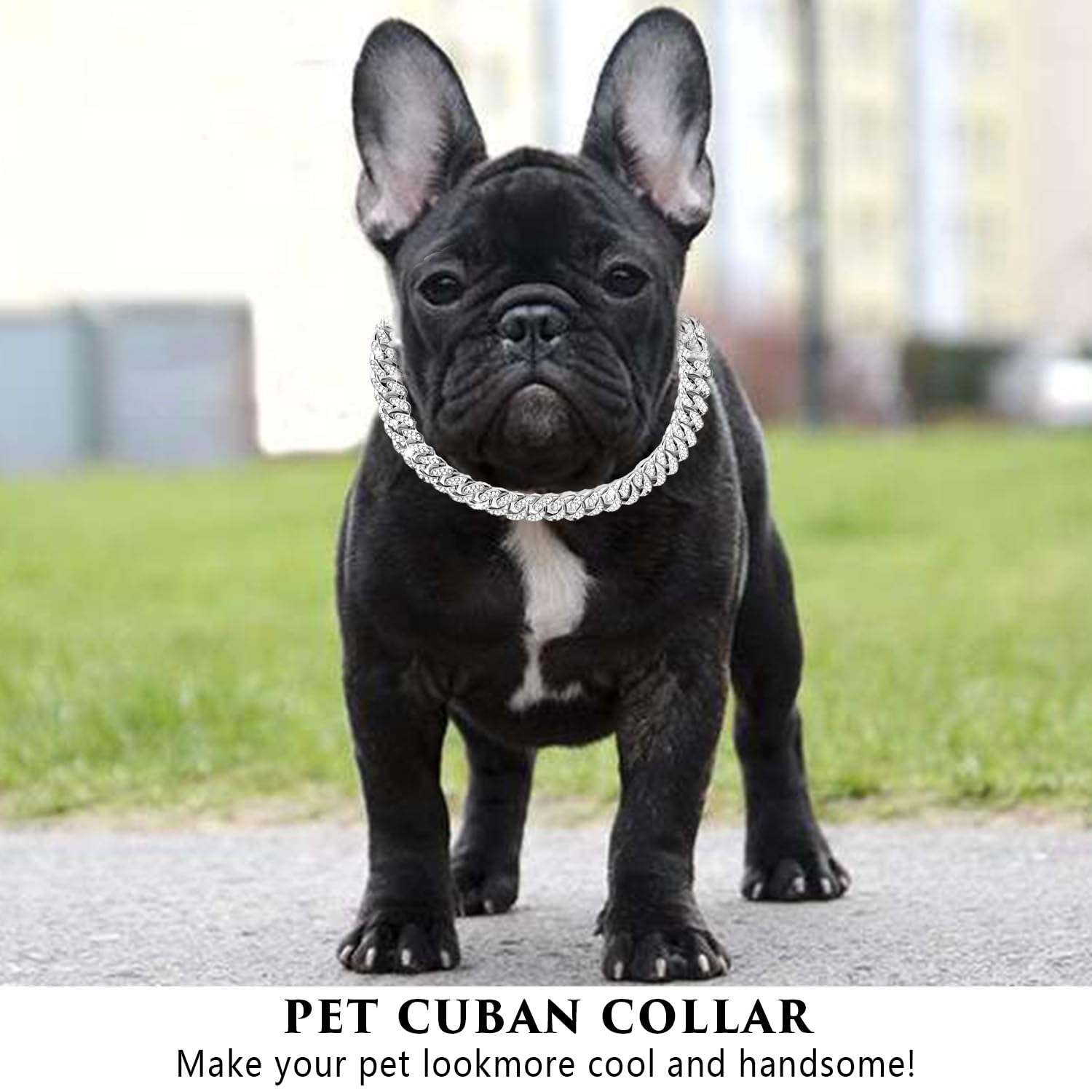 Collana con Catena Cubana in Zircone da 8 Pollici per Cuccioli, Collare con Diamante per Cane - Collana in Cristallo per Animali Domestici