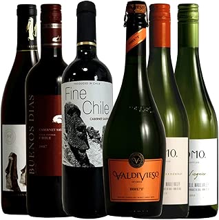 チリワイン6本セット 赤3本 白2本 泡1本 750ml 6本