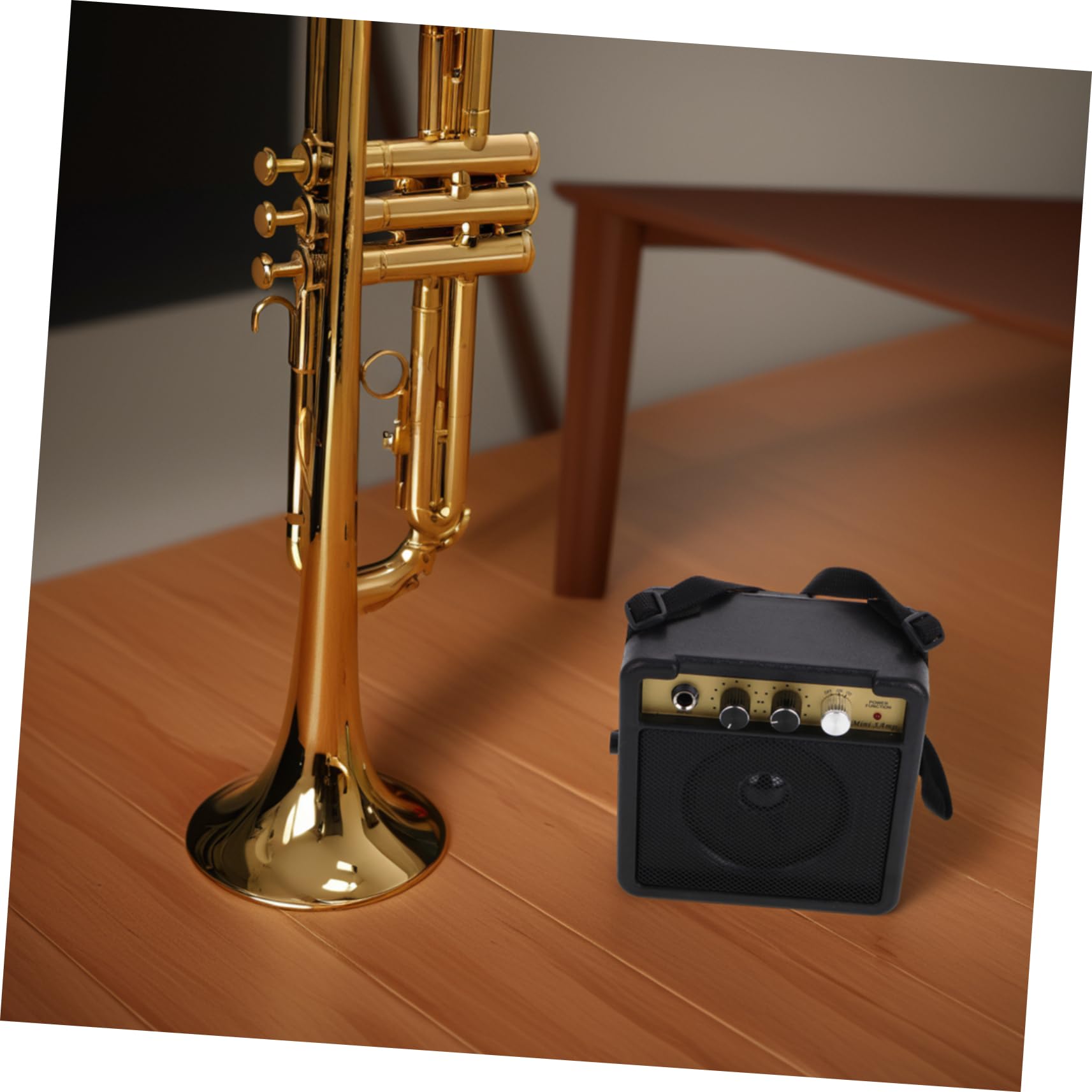 Mini Amplificatore per Chitarra Elettrica 5w, Nero | Struttura Robusta, Suono ad Alta Fedeltà, Plastica e Metallo, senza Batteria