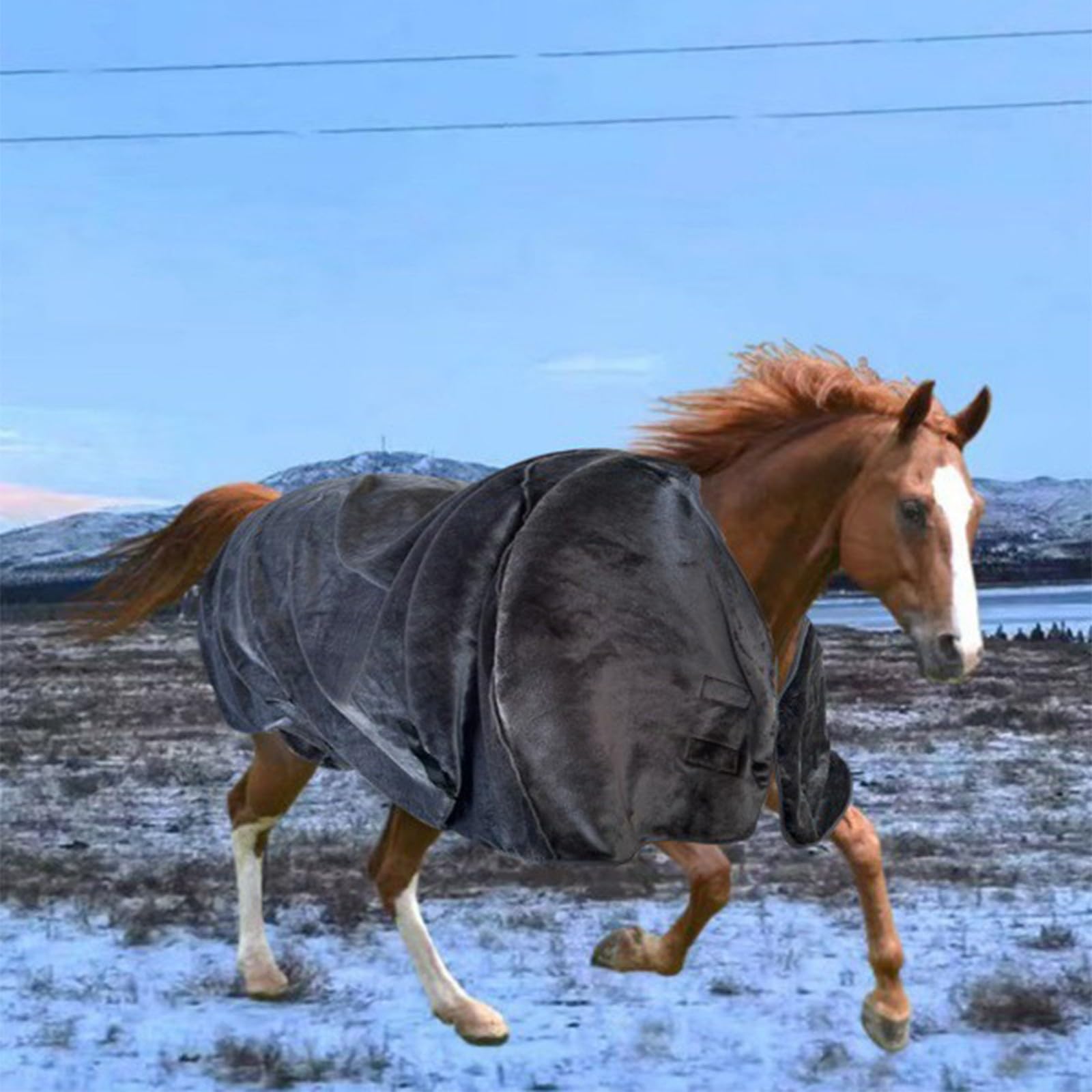 Manta de caballo para todo el día, cálida y continua, resistente al desgarro, diseño transpirable, fácil de limpiar, con hebillas