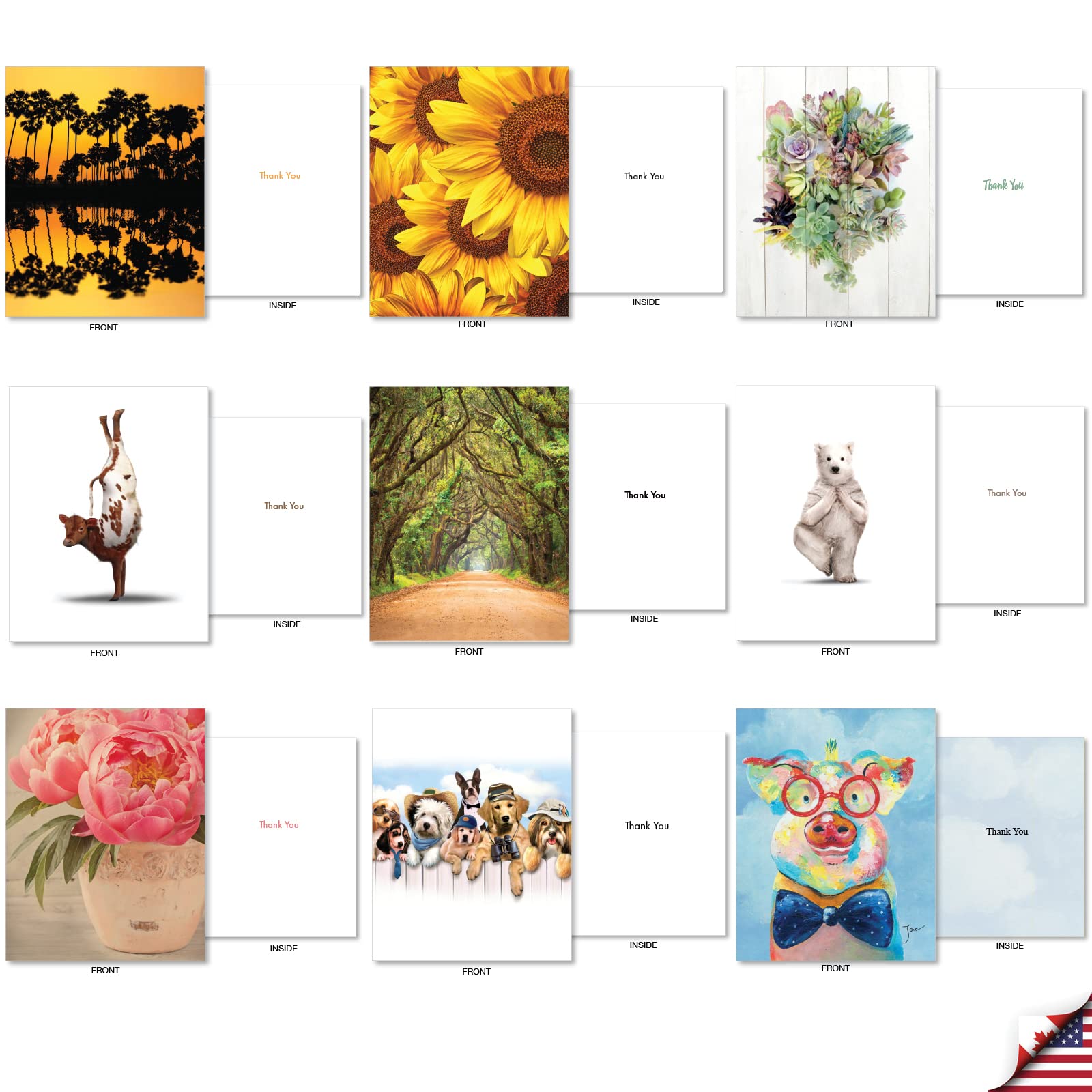 The Best Card Company - Lot de 36 cartes assorties de 10,2 x 13,5 cm avec enveloppes (36 motifs, 1 chaque), carte de gratitude en vrac – Many Smiles AM7754TYG-B1x36