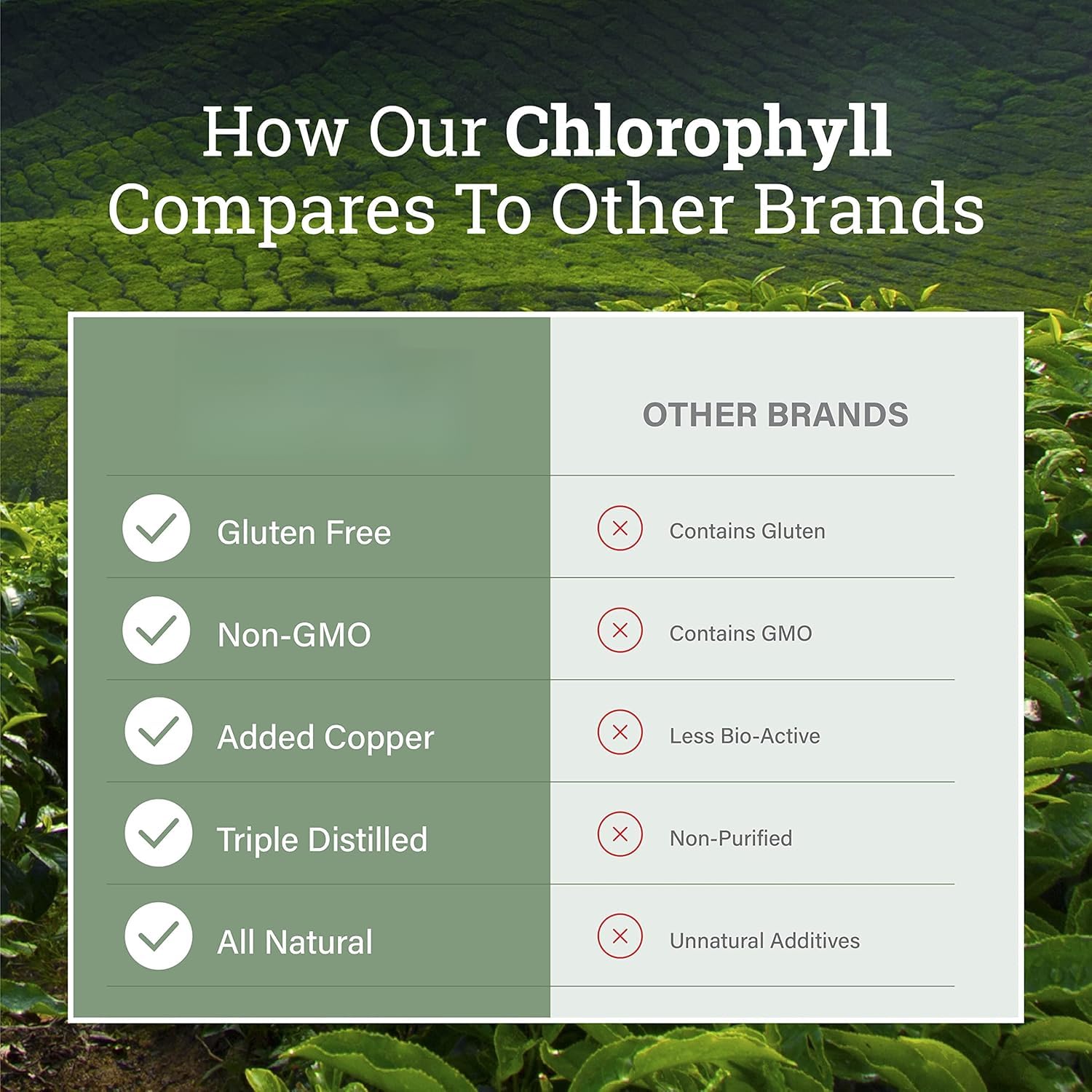 Chlorophylle liquide pour favoriser le bien-être digestif et la vitalité naturelle du corps