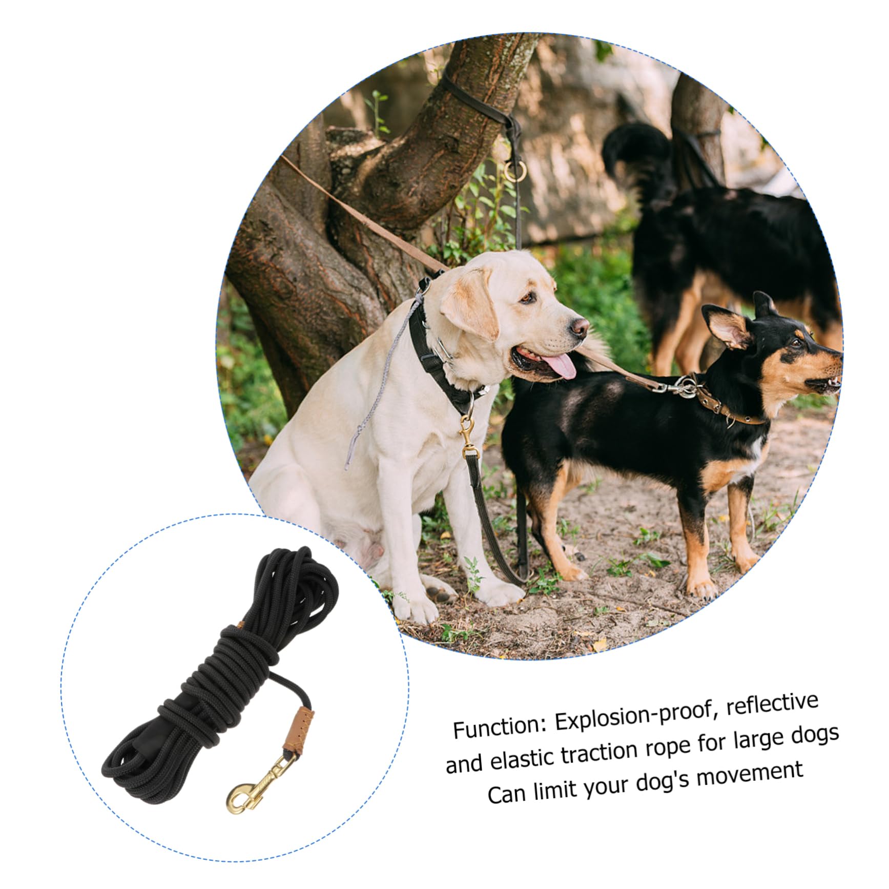BESTonZON Laisse De Traction pour Chien Mètres Laisse pour Entraînement Et Activités Extérieures Convient Aux Chiens De Moyenne à