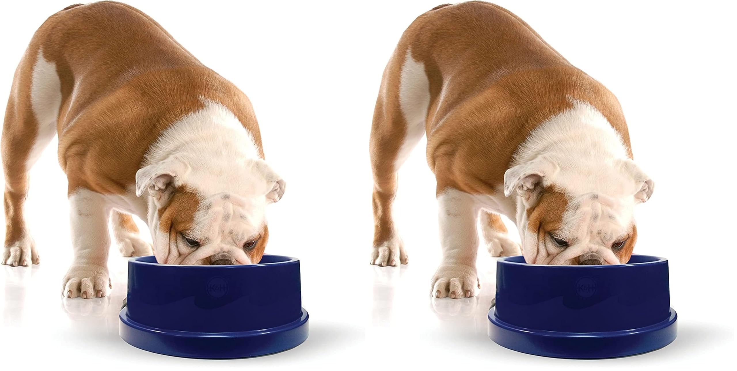 K&H 772550 evcil hayvan, köpekler ve kediler için serinletici içecek kabı - 2,7 litre (2 paketi)