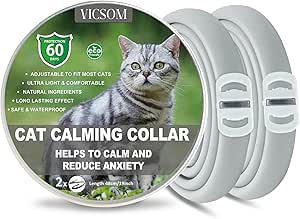 Image showcasing What Are Cat Pheromones Used For and How Do They Work?