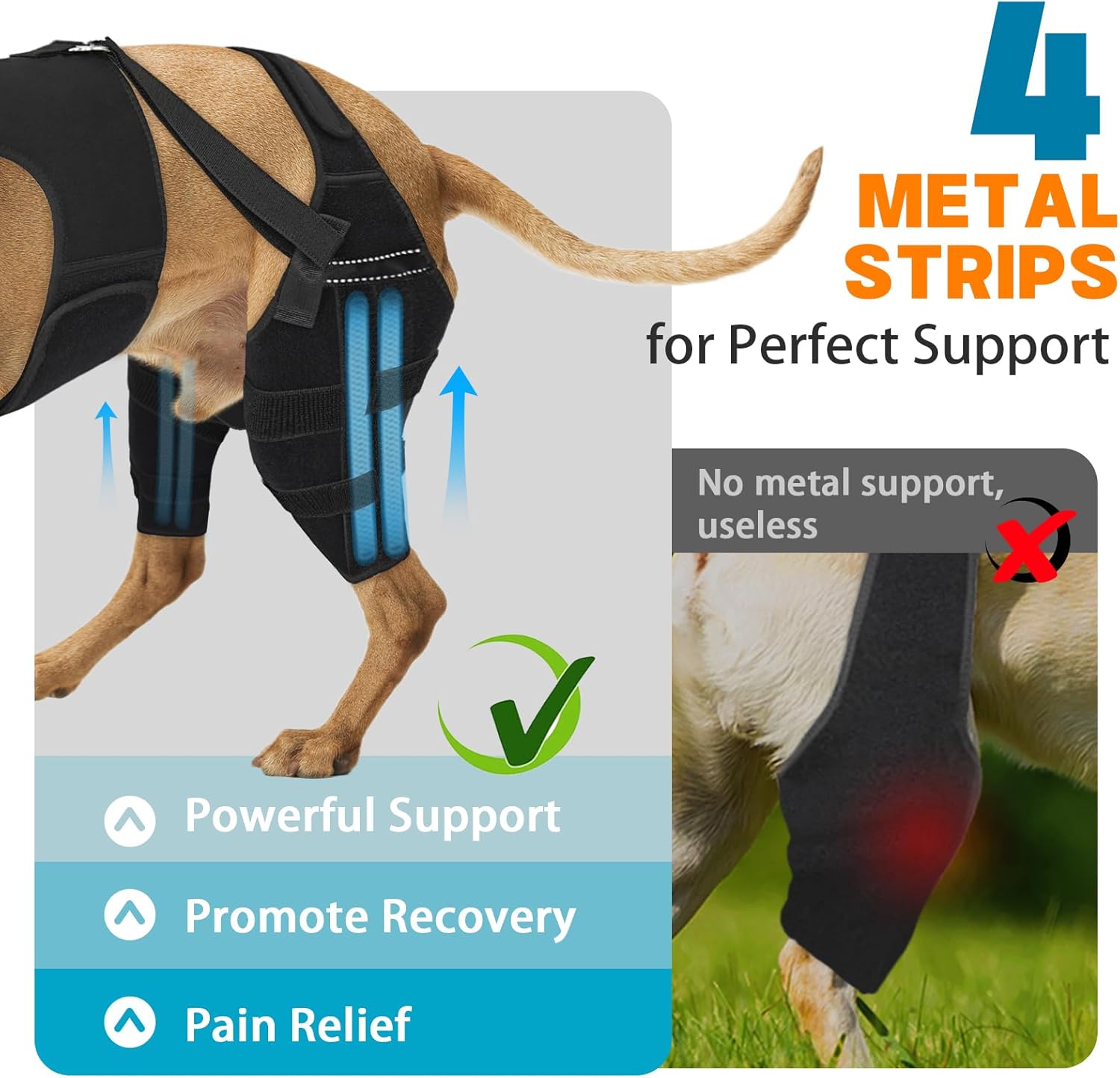 Dog Knee Brace for Back Leg, Adjustable Dog Leg Brace with 4 Stabilizers, Hip Support to Reduces Pain, Ligament Injuries & Luxating Patella & ACL CCL for Small Medium Large Dogs, 2XL