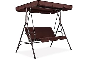 Best Choice Products 2-Person Swing Chair for Adults + Canopy