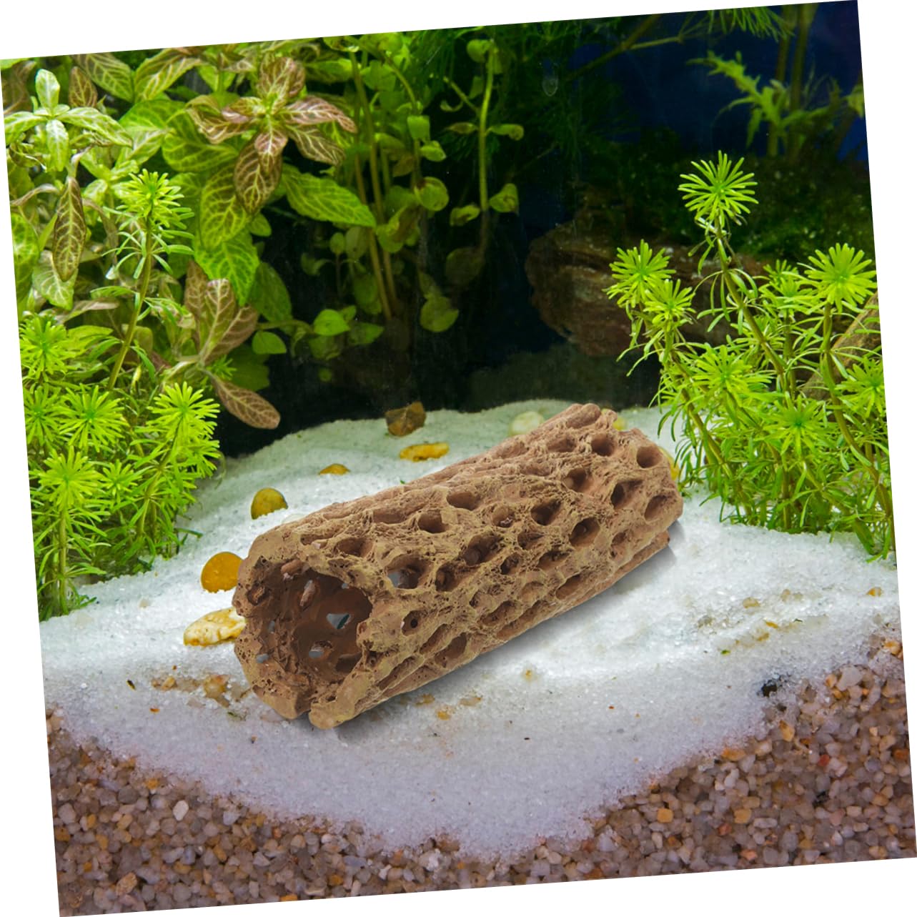 COLLBATH 2 Stück Garnelenversteck aus Harz Aquarium Dekoration Robustes Garnelenversteck Natürliches Aquarium Ornament für Garnelen und Kleine Fische