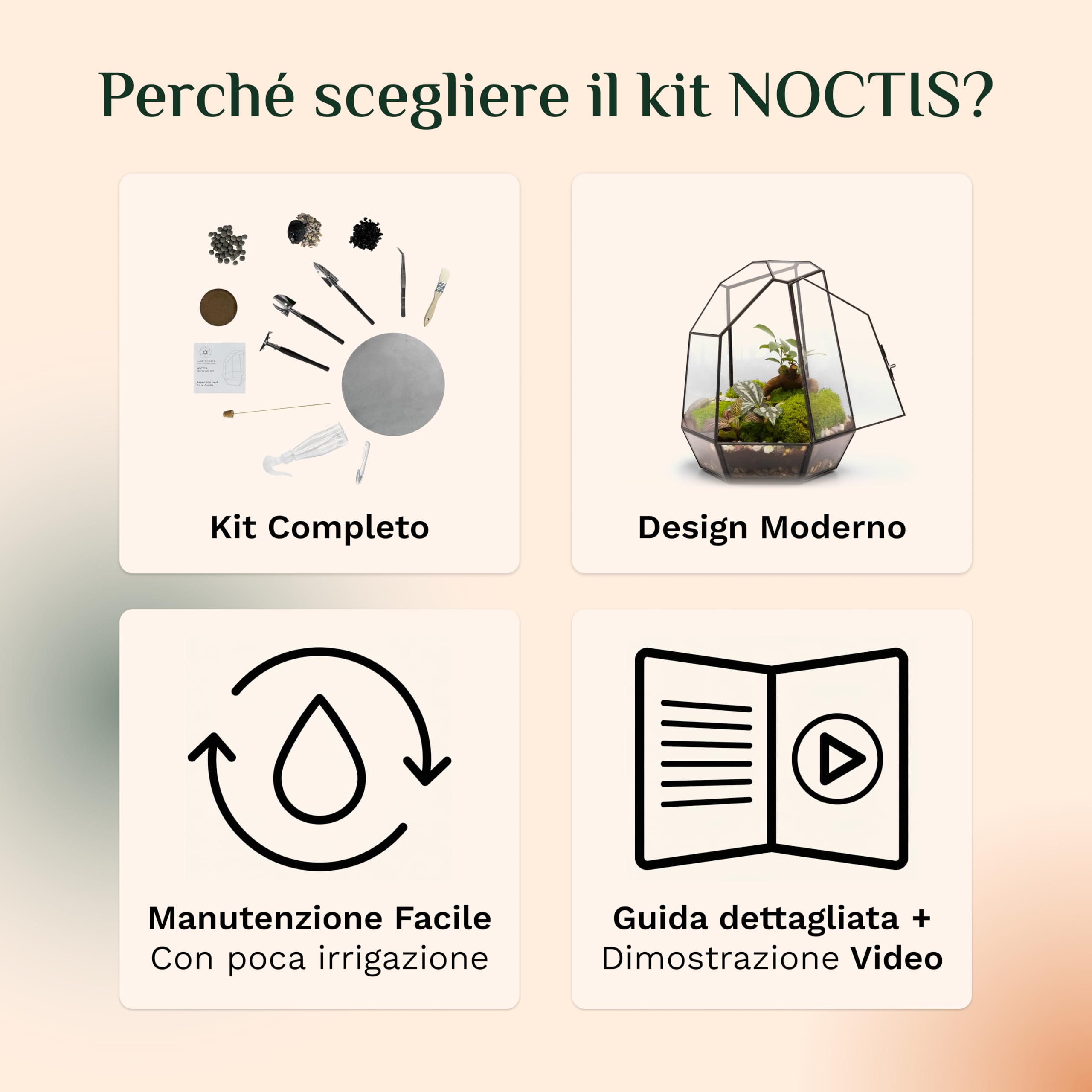 NOCTIS - Kit Terrario Completo FAI da TE in Vetro per Piante con Substrato e 10 Strumenti Inclusi - Struttura dal Design Geometrico - Ecosistema Autonomo, Cofanetto Creativo (senza Piante)