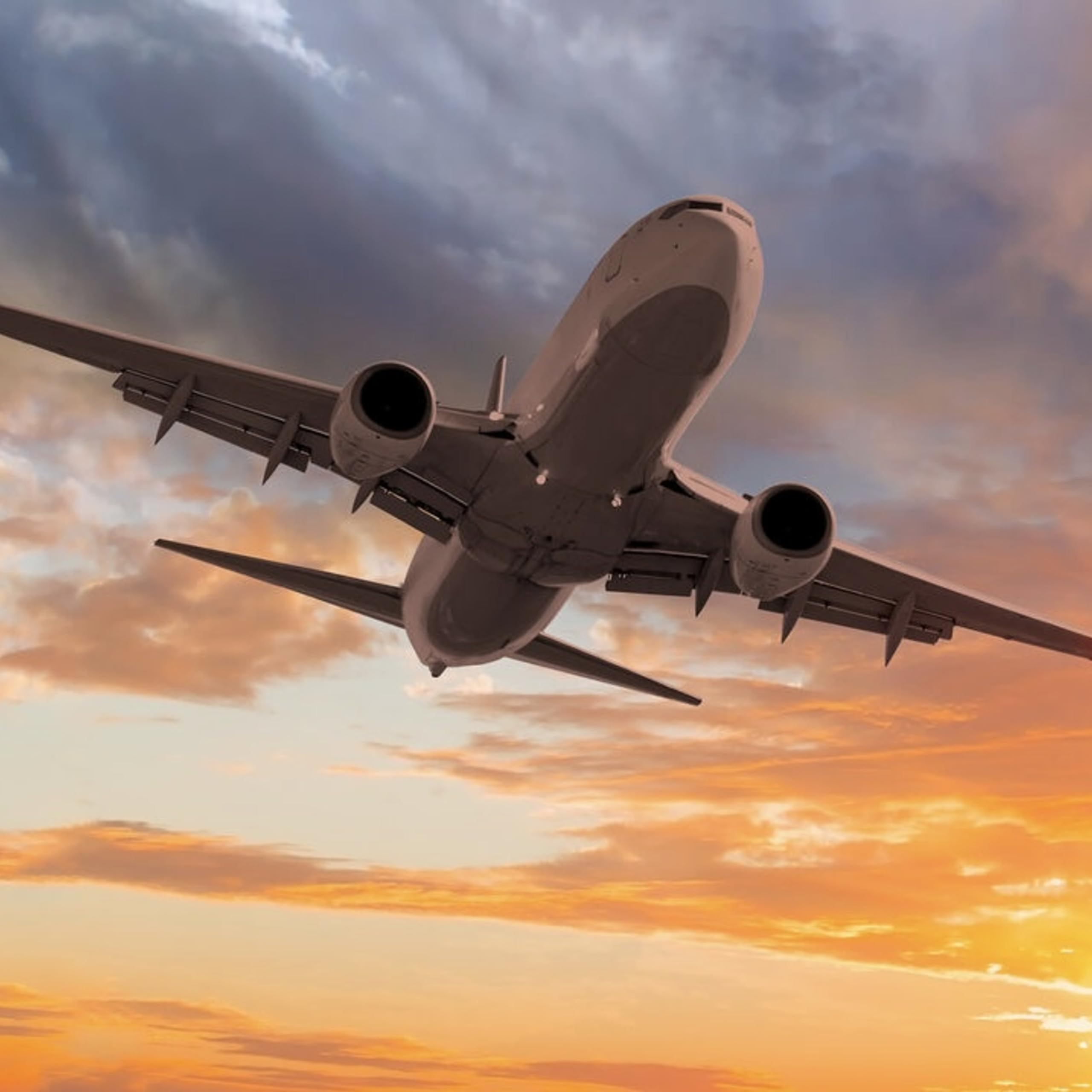 Николай Сушко