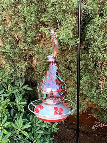Grateful Gnome - Hummingbird Feeder - Hand Blown Glass - Gnarly Neck Gourd - 16 Fluid Ounces Kit Includes S-Hook, Ant Moat And Brush Included #TOP6