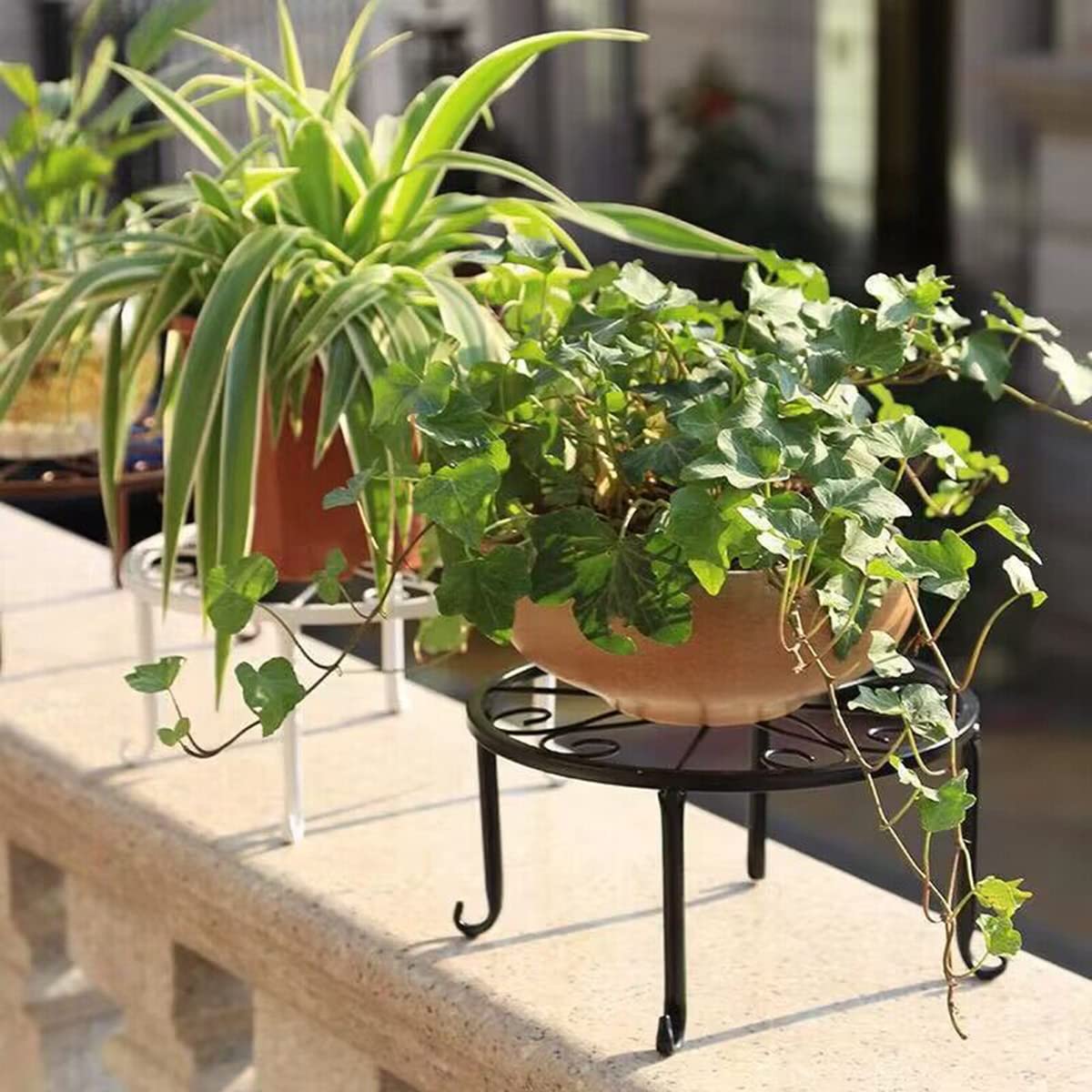 Cina Organizzatore per scaffali per piante in metallo alto a 3 livelli per interni ed esterni 3 Ripiani per portavasi per fiori Scaffale per esposizione per fioriere Scaffale per piante Produzione e