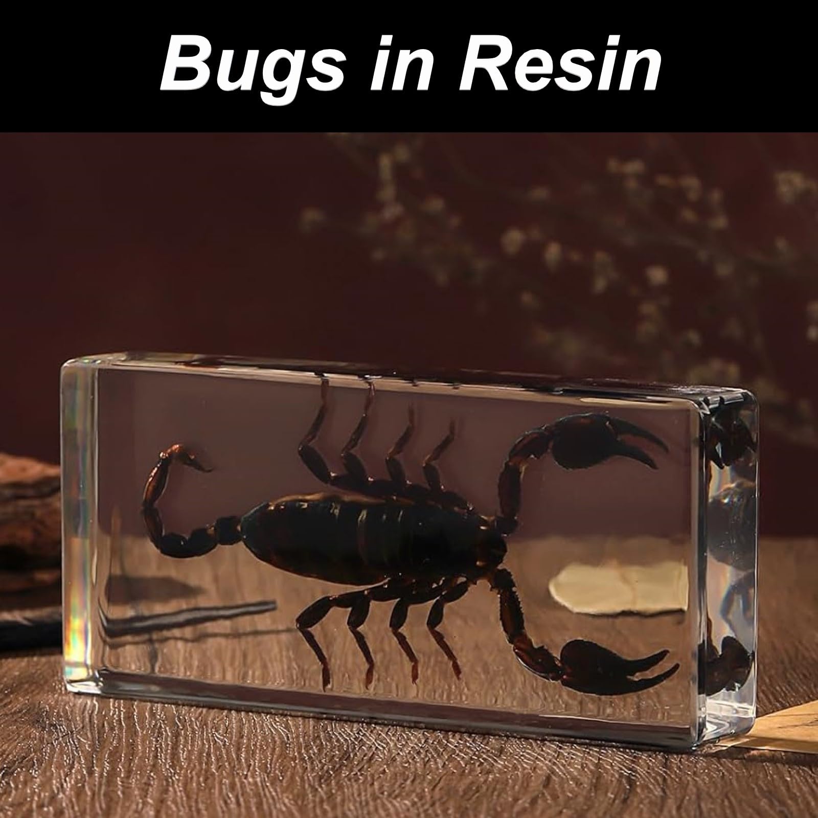 DRXRD Käfer Probe Dekor, Bernstein Insekt in Harz Ornament, Kunsthandwerk Tierpräparation, Einzigartiges Tolles Geschenk Scorpion