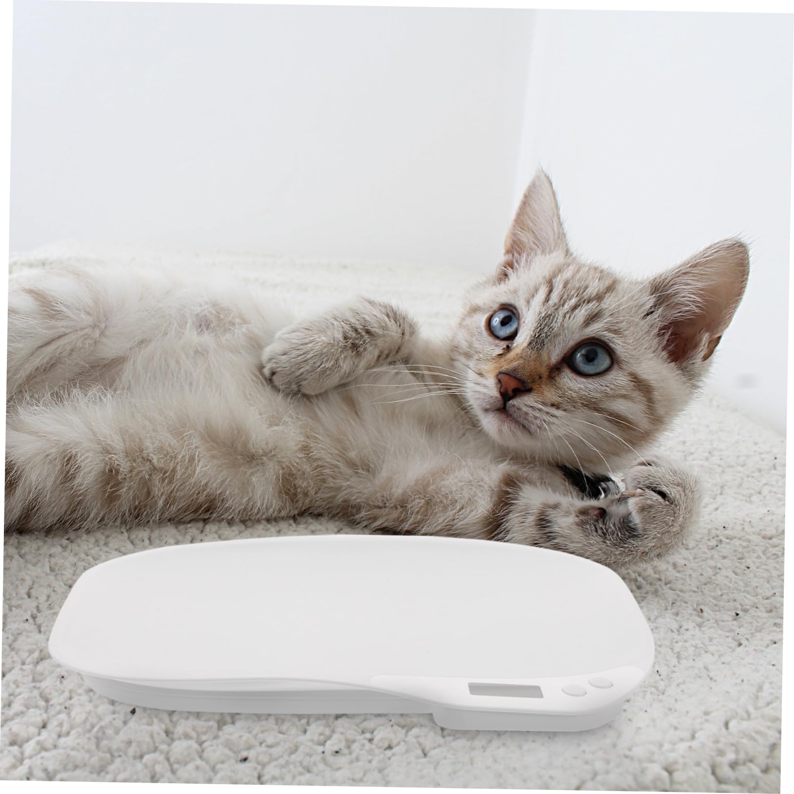 BESPORTBLE Balance Électronique pour Animaux de Compagnie Pèse-bébé Mini Précision Capteurs Haute Sensibilité Usage Domestique Chatons Chiots