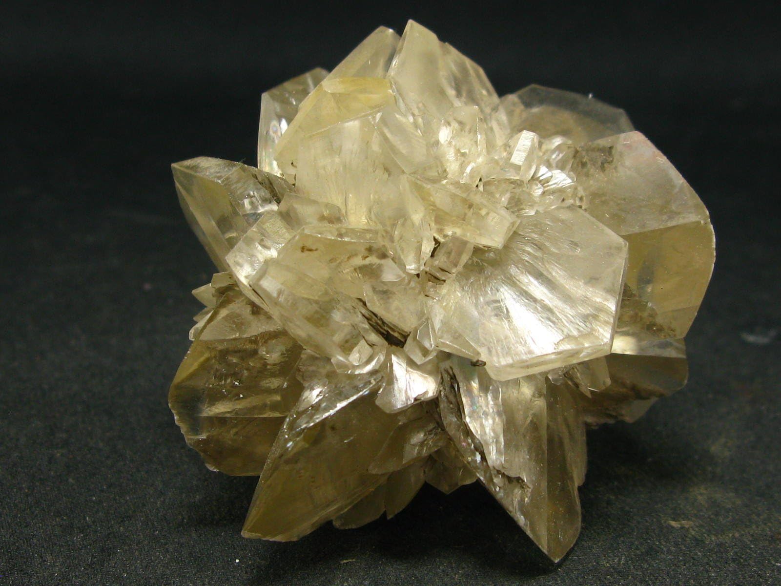 Gypsum Rose Crystal From Manitoba Canada - 1.9"