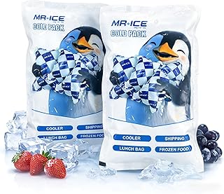 MR.ICE Reusable Dry Ice Packs for Shipping, Long Lasting Freezable Ice Packs for Cooler Lunch Box Camping Beach, Compact Cold Pack for Frozen Food Transport & Emergency Cooling - 250ML, 8 Sheets