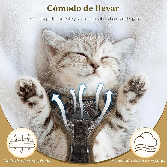 Foto 2 de 7 de VavoPaw Arnés para Mascotas y Correa para Pasear