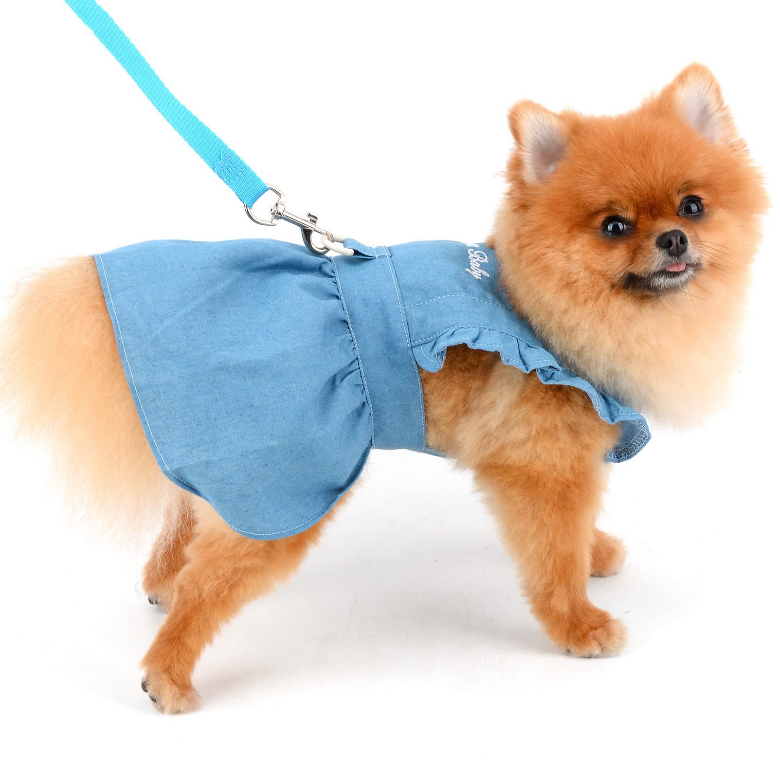 Câlins Dorés compagny – Accessoires pour chien, image size:1603x1603